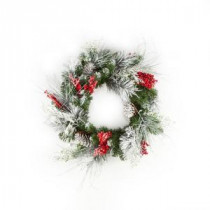 24 in. Frosted Mixed Pine Artificial Wreath-2207170 206634282