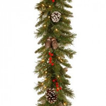 9 ft. Frosted Berry Garland with Clear Lights-FRB-9GLO-1 300330554