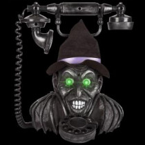 Home Accents Holiday 11.81 in. Witch Phone-59957 206762546