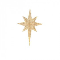 Home Accents Holiday 52 in. 50-Light LED Twinkling Burleigh Star-TY499-1614-0 206963337