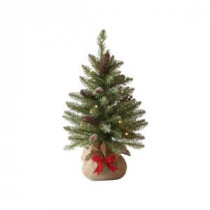 Martha Stewart Living 24 in. Indoor Pre-Lit Snowy Dunhill Fir Tabletop Tree with Clear Lights-9782300610 300339350