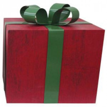 Martha Stewart Living Present Box Medium-923 207176853