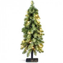 National Tree Company 2 ft. Downswept Artificial Christmas Forestree with Clear Lights-FTD1-24ALO-1 300443176