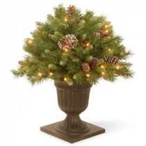 National Tree Company 2 ft. Frosted Berry Porch Artificial Bush with Clear Lights-FRB3-24PLO 300120610