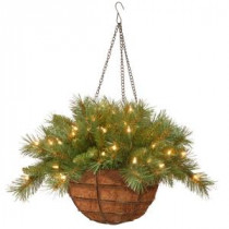 National Tree Company 20 in. Tiffany Fir Hanging Basket with Battery Operated Warm White LED Lights-TF-300-20HB-1 300487289
