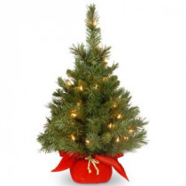 National Tree Company 24 in. Majestic Fir Tree with Clear Lights-MJ3-24RDLO-1 300478228