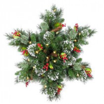 National Tree Company 32 in. Wintry Pine Snowflake with LED Lights-WP1-300-32S-B1 300182793