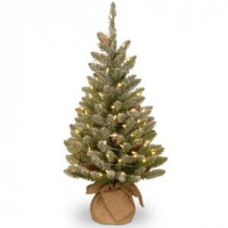 National Tree Company 36 in. Snowy Concolor Fir Tree with Battery Operated LED Lights-SR1-328-30-B1 300478181