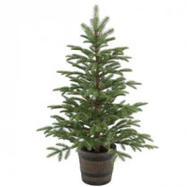National Tree Company 4 ft. Norwegian Spruce Entrance Artificial Christmas Tree-PENG4-700-40P 300120650