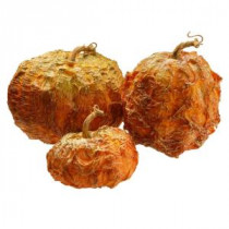 National Tree Company 8 in., 6 in. and 5 in. H Pumpkin Decor (Set of 3)-RAHV-16294NG 207123491