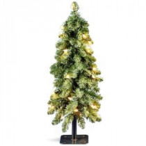 National Tree Company Downswept 24 in. Artificial Forestree with 50 Clear Lights-FTD1-24ALO-1 207183166