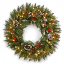National Tree Company Frosted Berry 30 in. Artificial Wreath with Clear Lights-FRB-30WLO-1 300182830