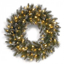 National Tree Company Glittery Bristle Pine 24 in. Artificial Wreath with Warm White LED Lights-GB3-319-24W-6 300182870