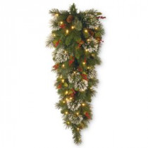 National Tree Company Wintry Pine 48 in. Teardrop with Battery Operated Warm White LED Lights-WP1-338-4TDB-1 300441265