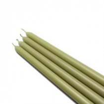 Zest Candle 12 in. Sage Green Taper Candles (12-Set)-CEZ-079 203362875